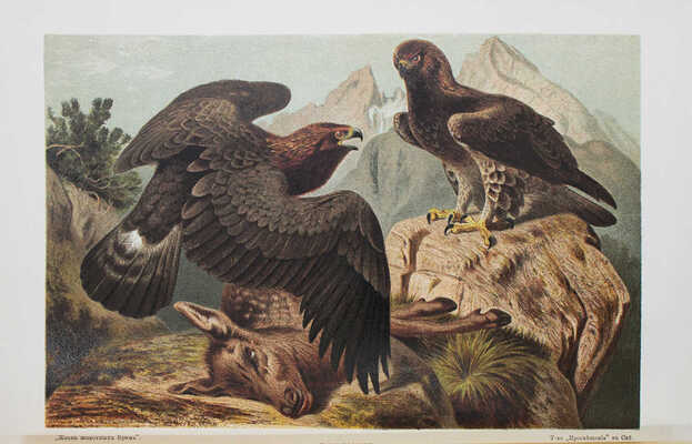 Полный комплект из 14 книг серии "Вся природа":